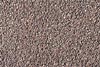 images/lagasse/100/wrub0092.jpg